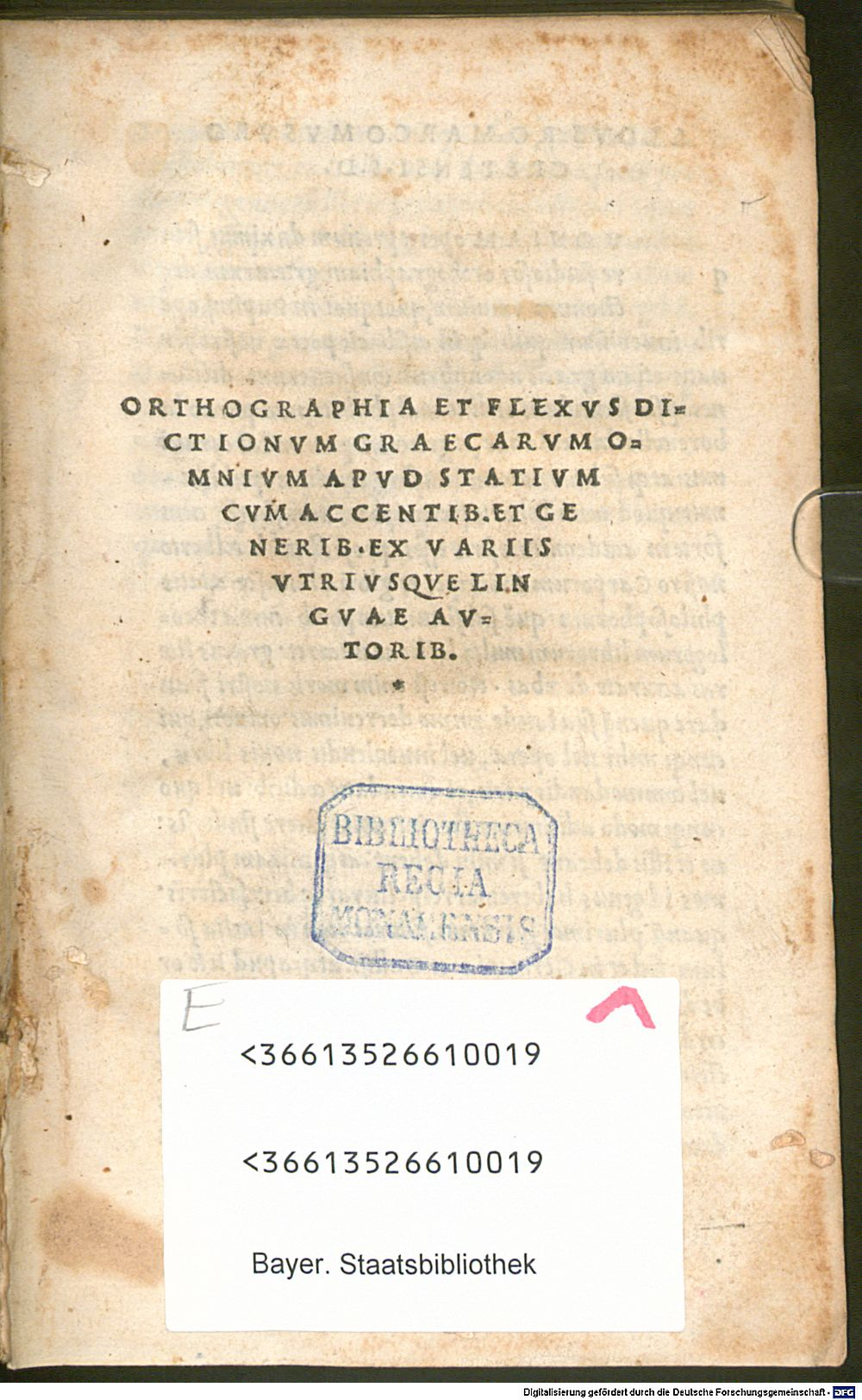 Image