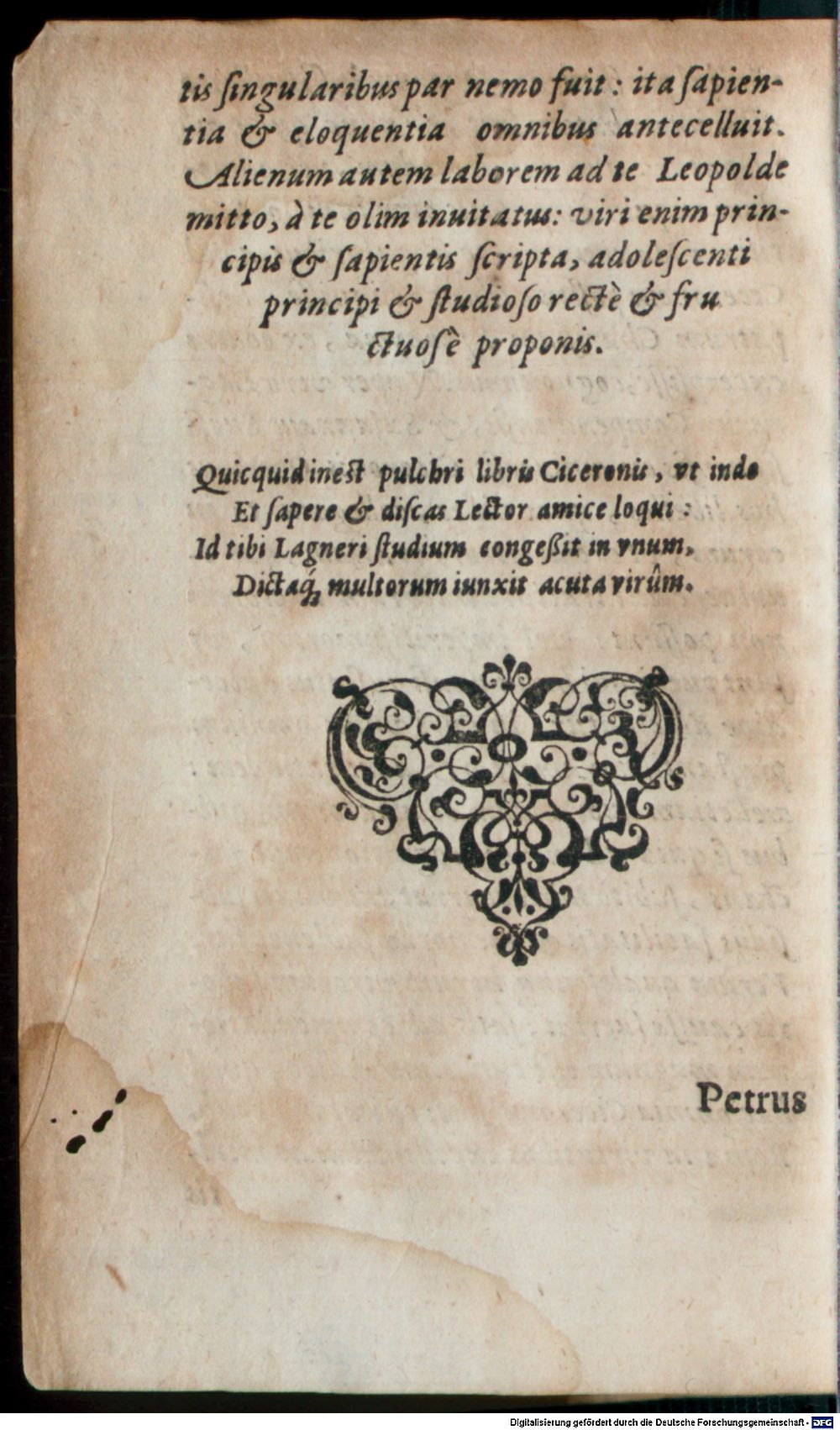 Image