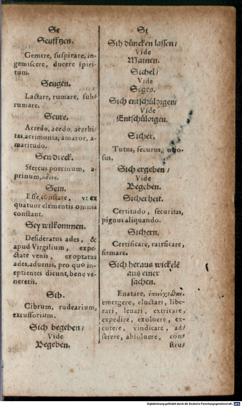 Image