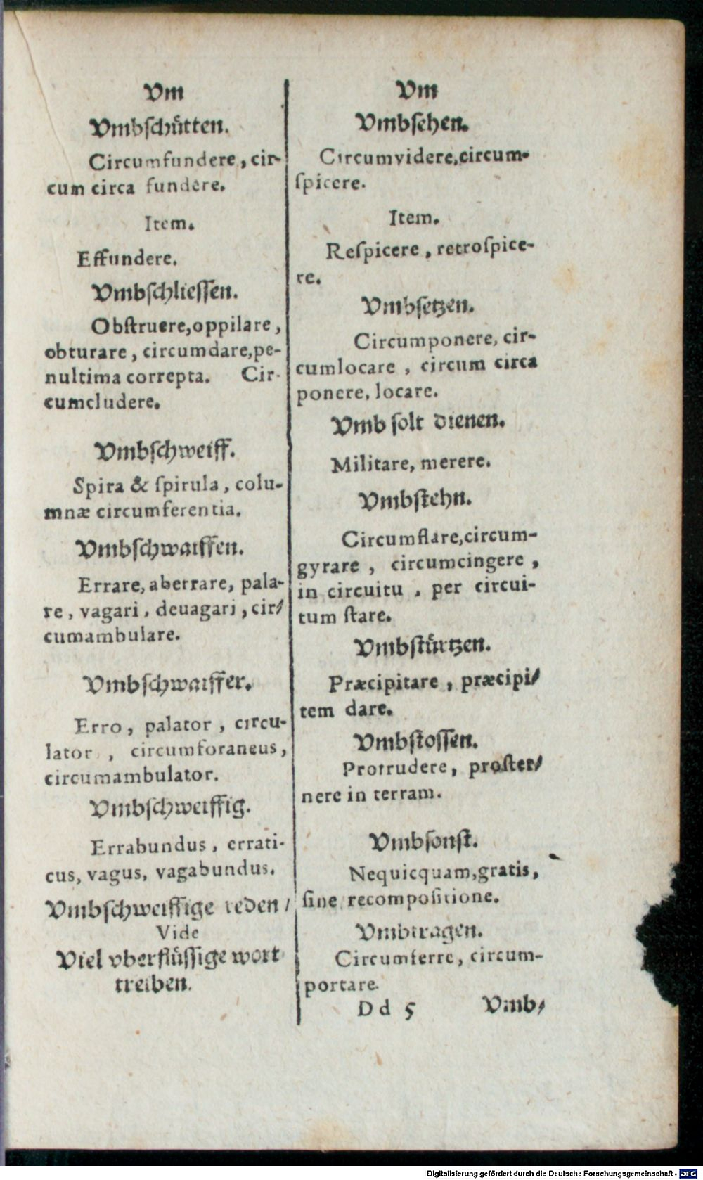 Image