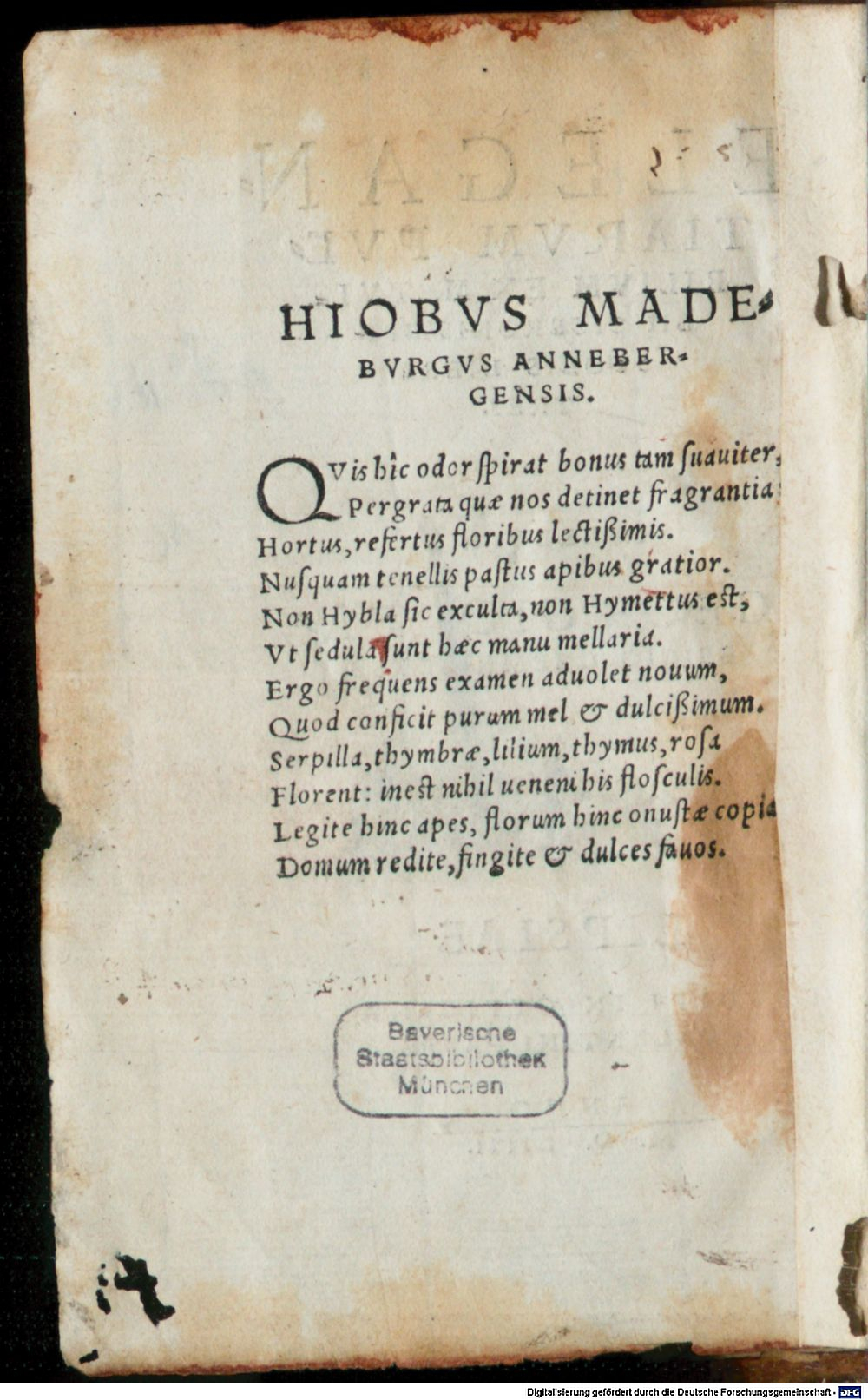 Image