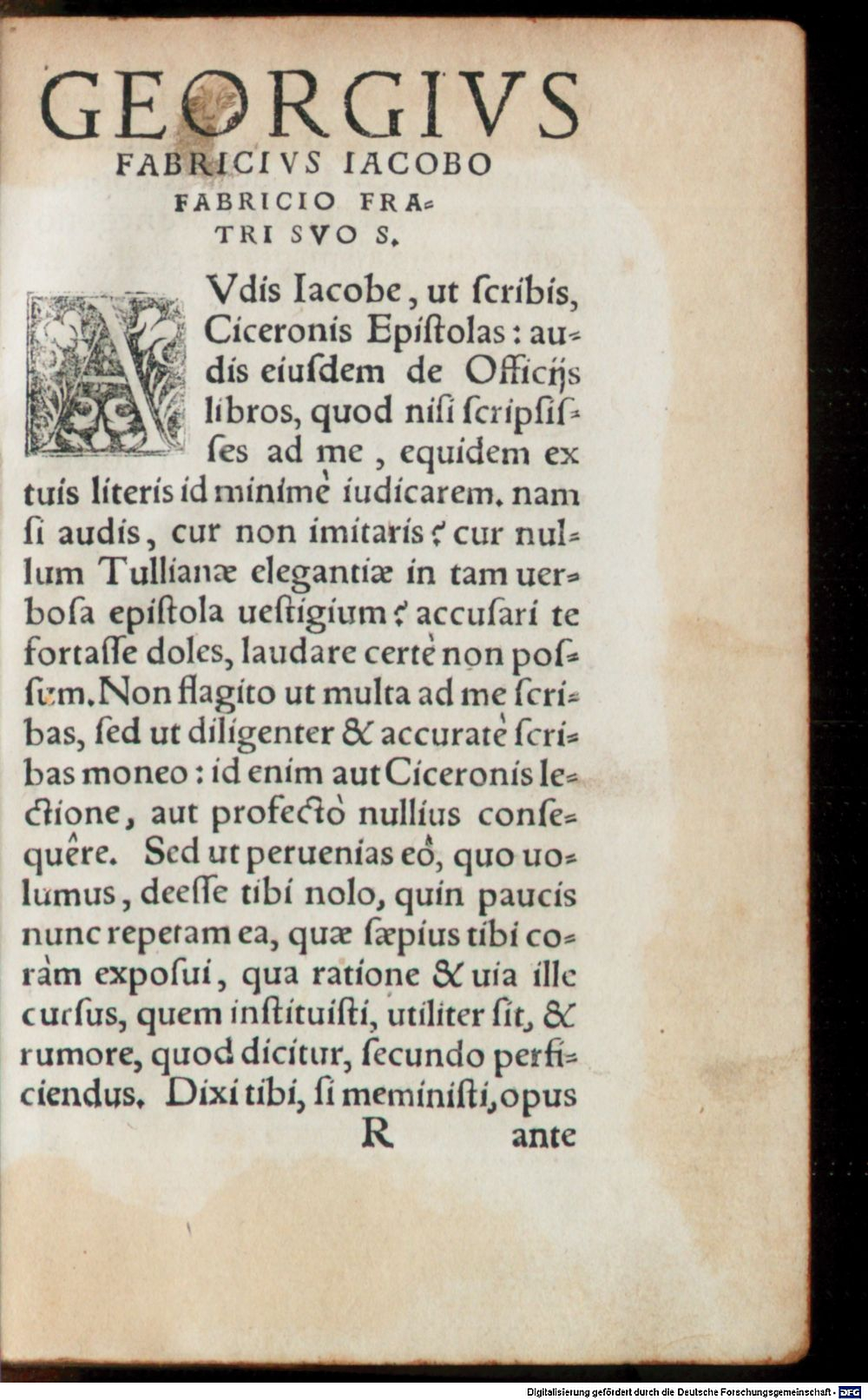Image