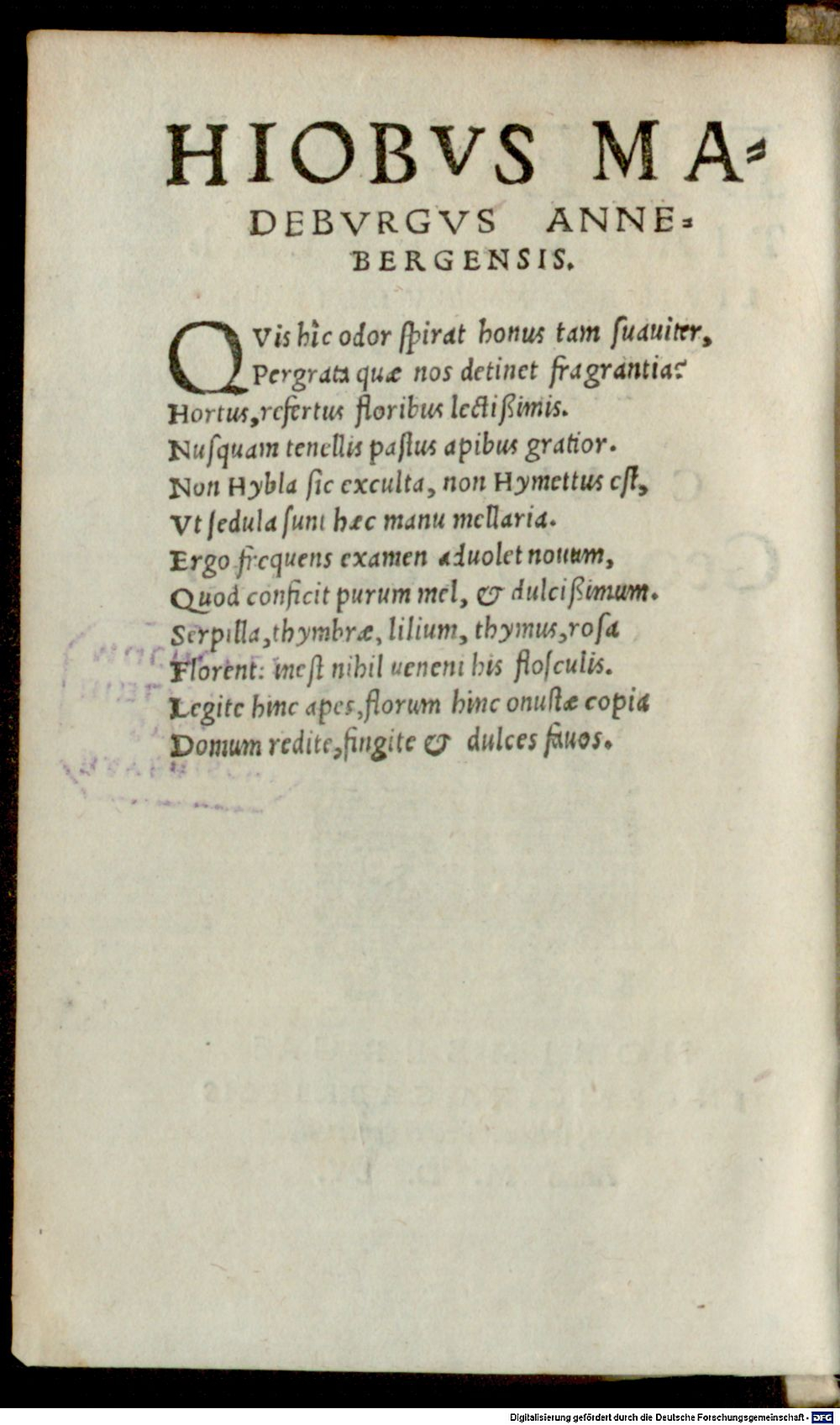 Image