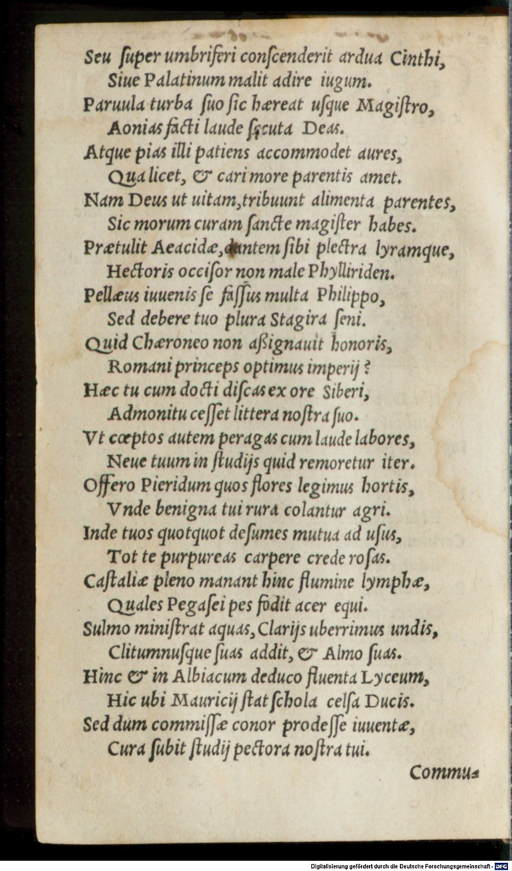 Image