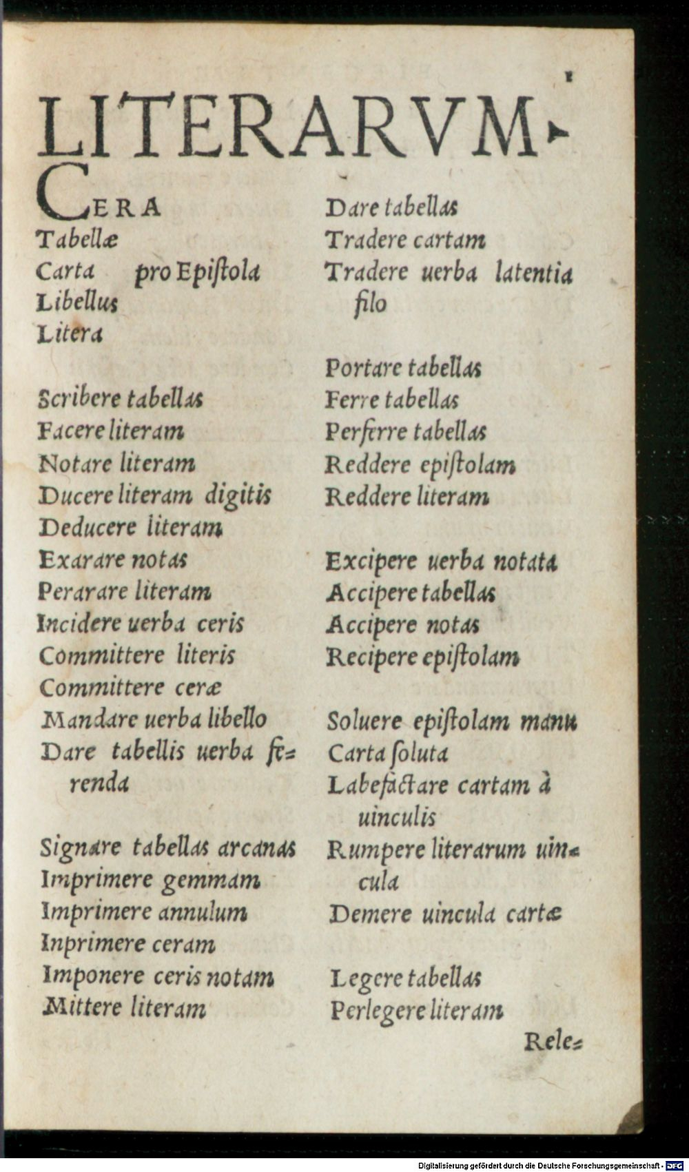 Image