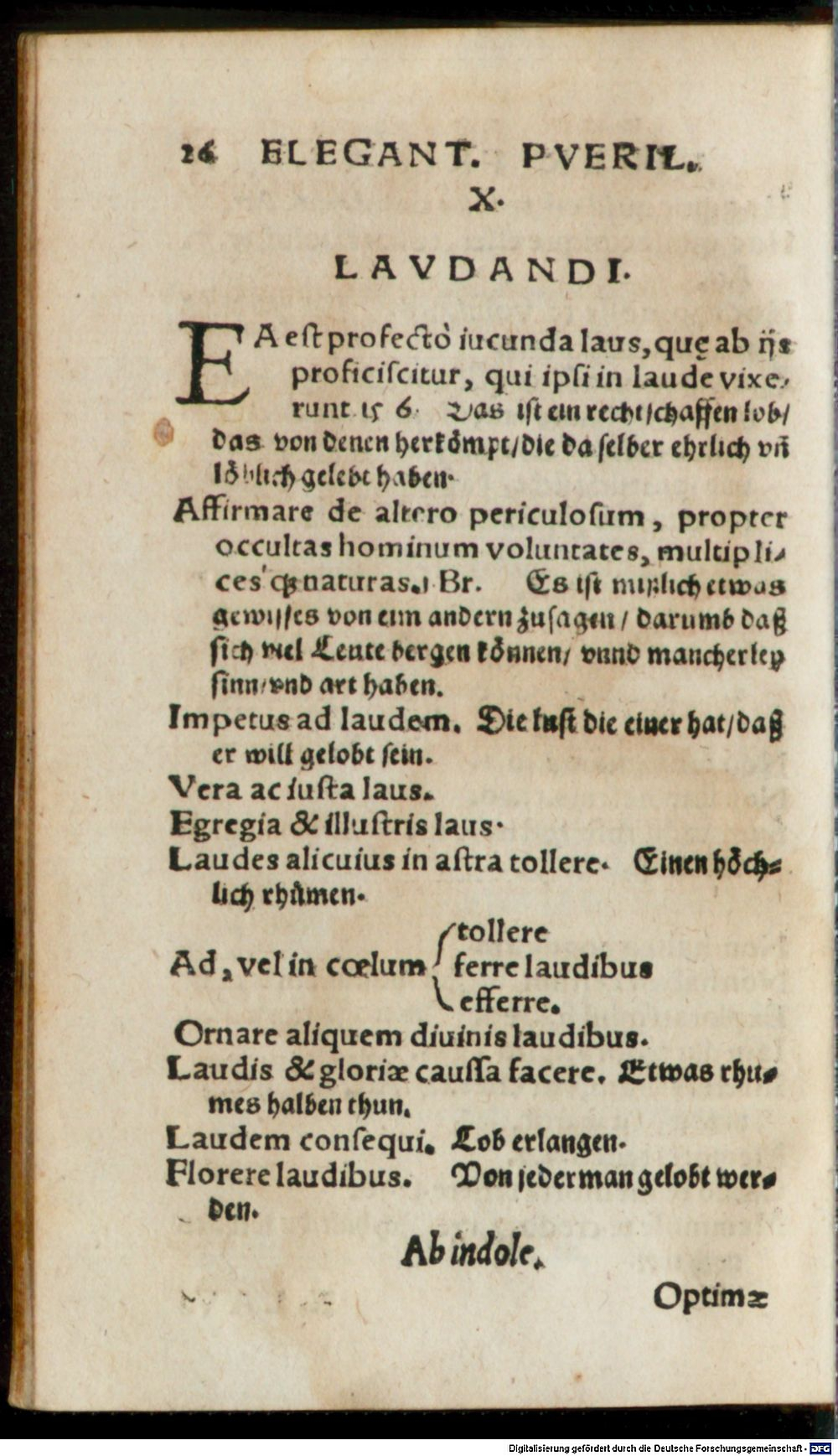 Image