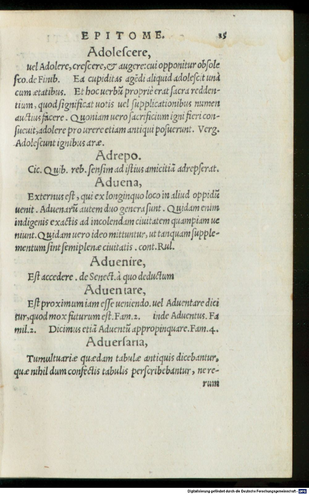 Image