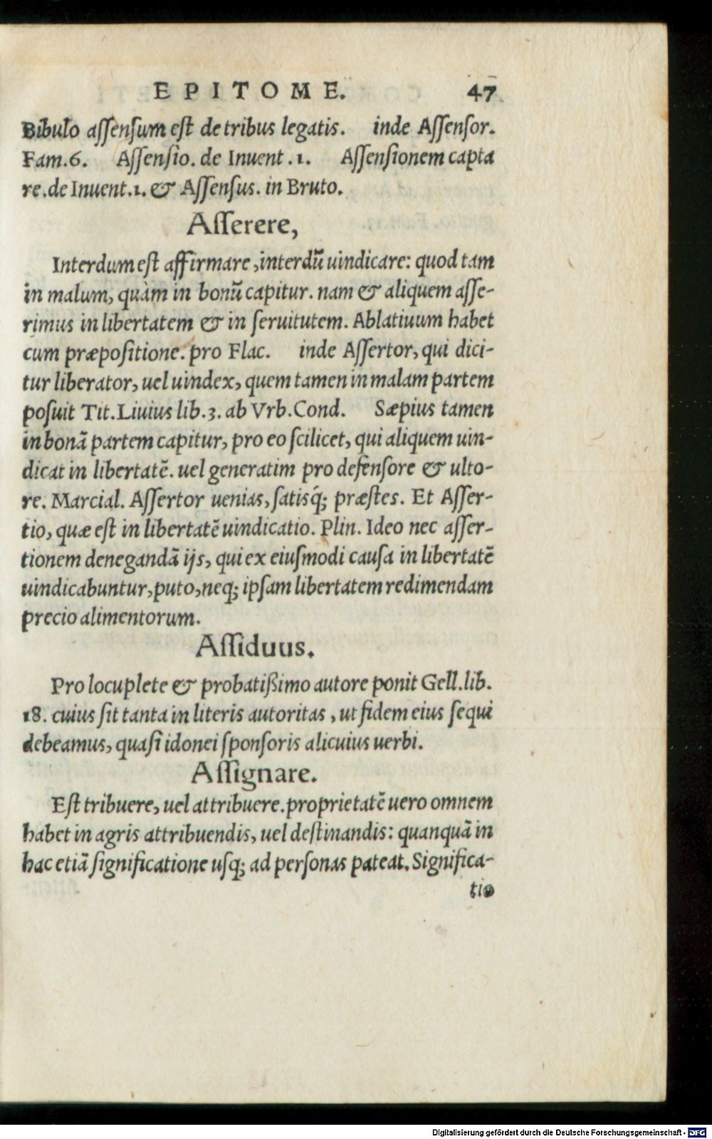 Image