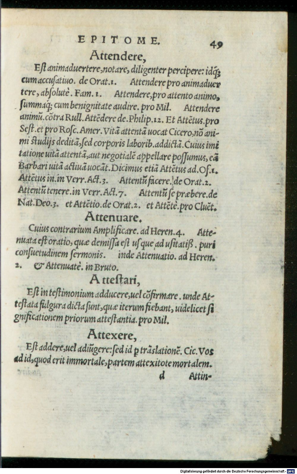 Image