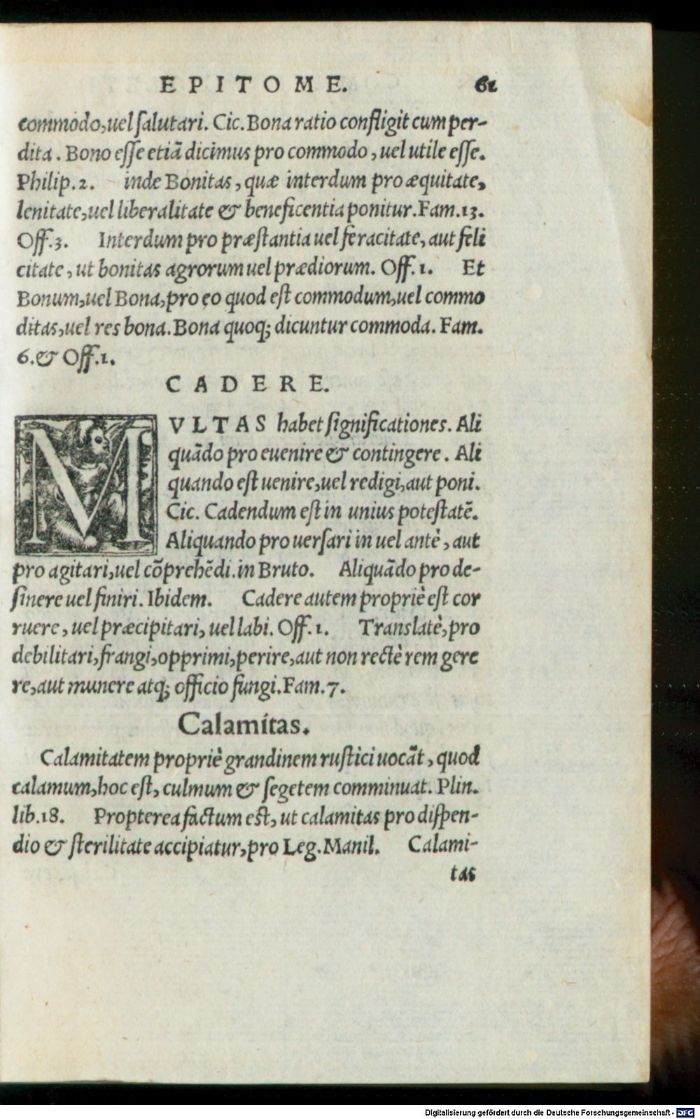 Image