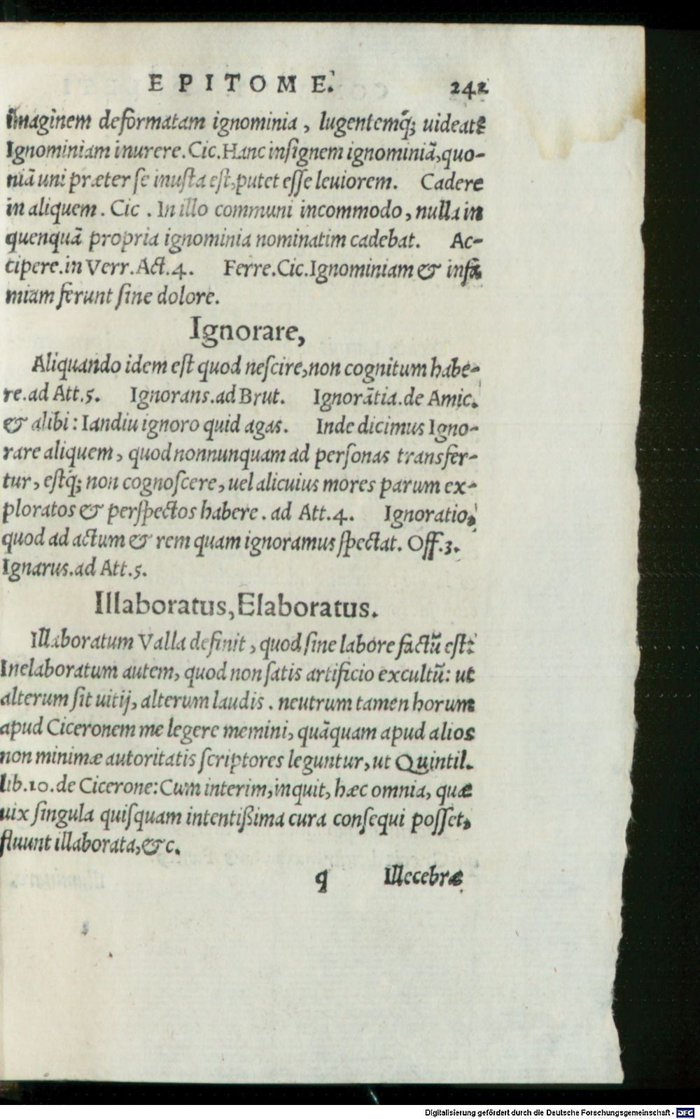 Image