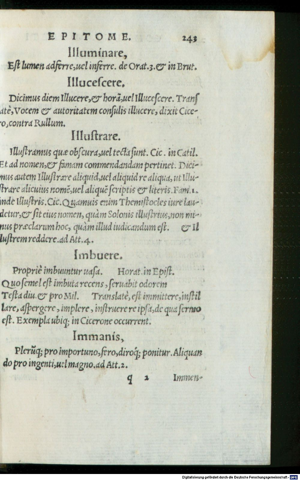 Image