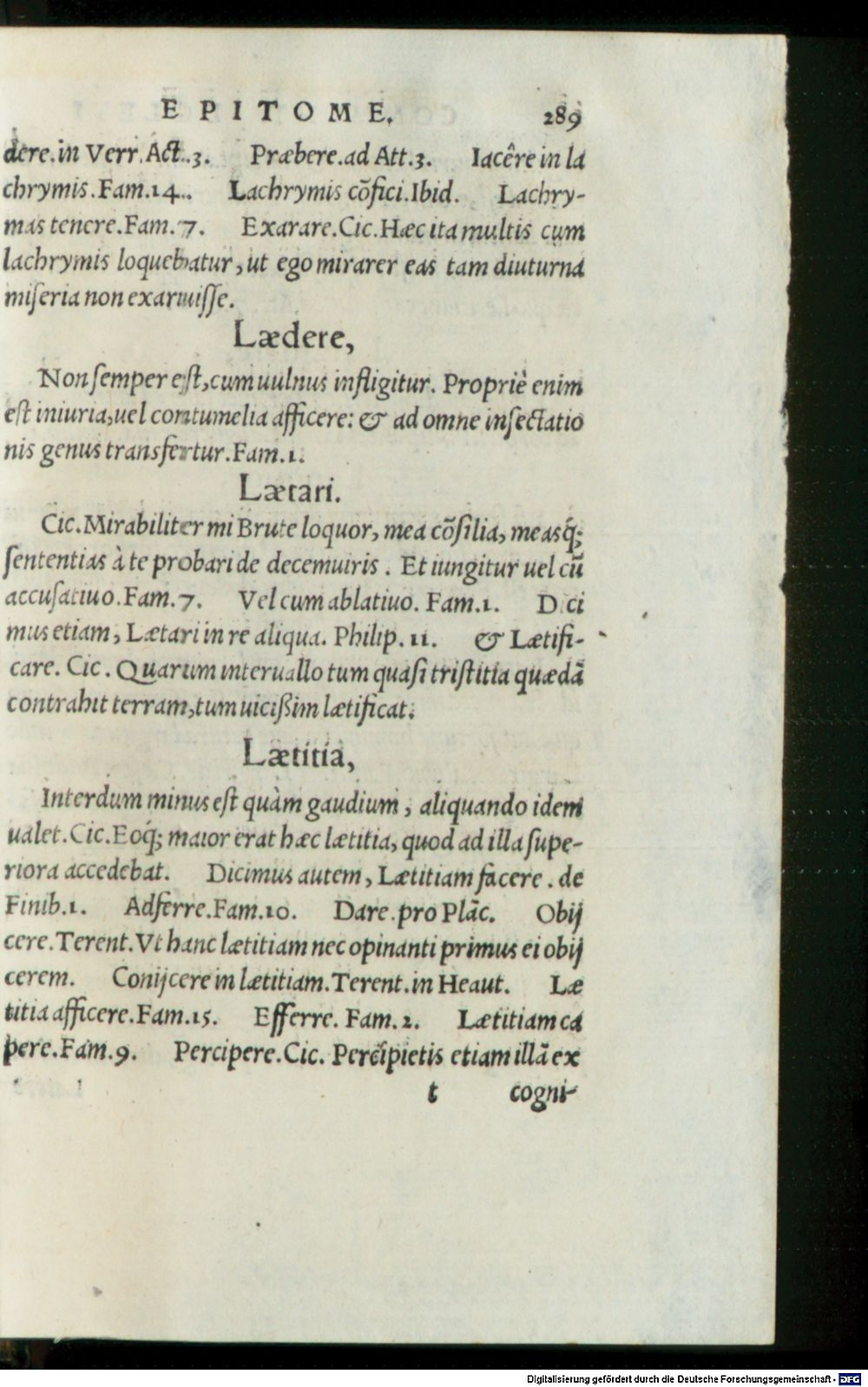 Image