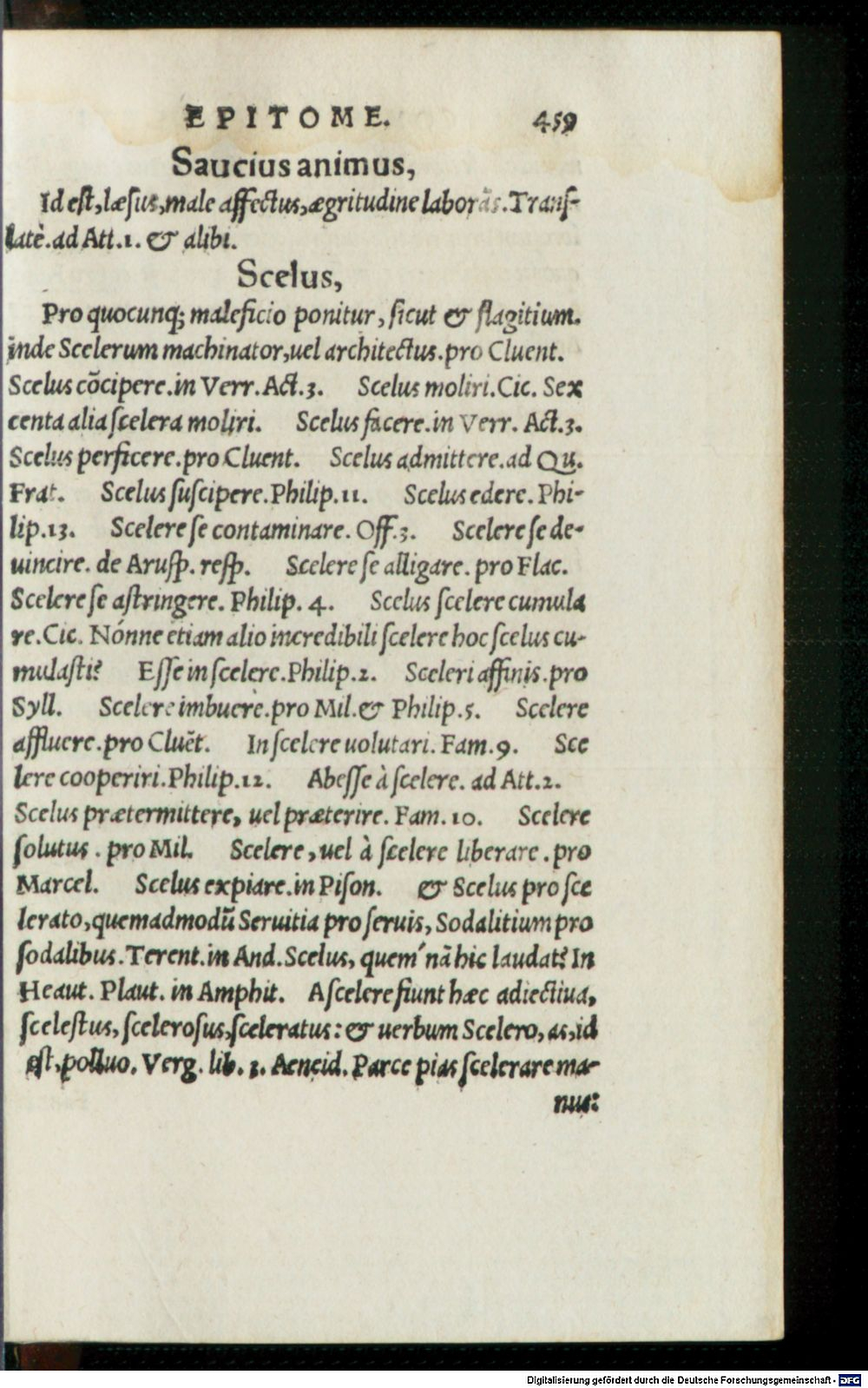 Image