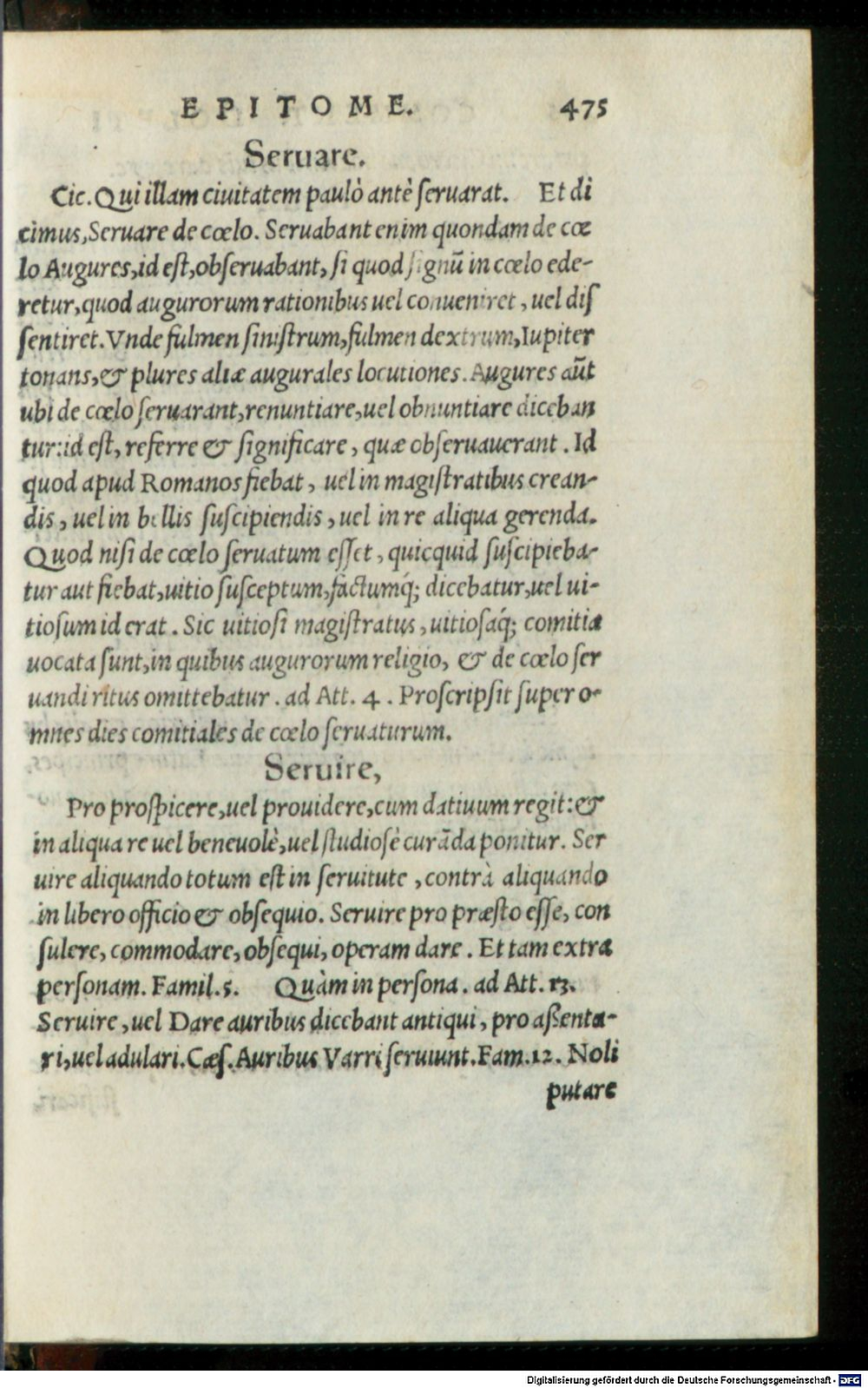 Image