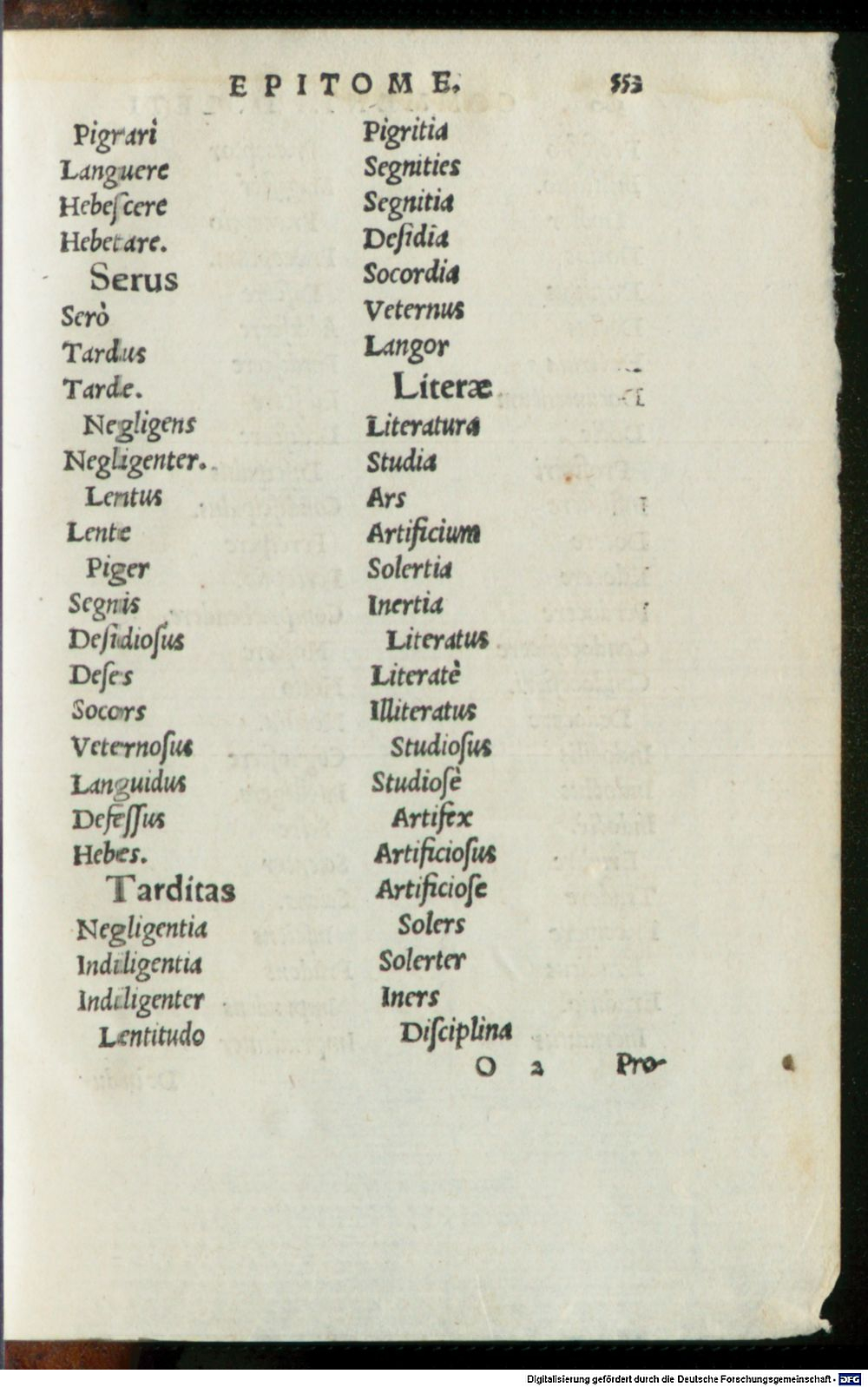 Image