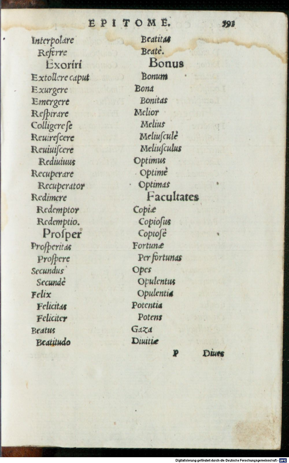 Image