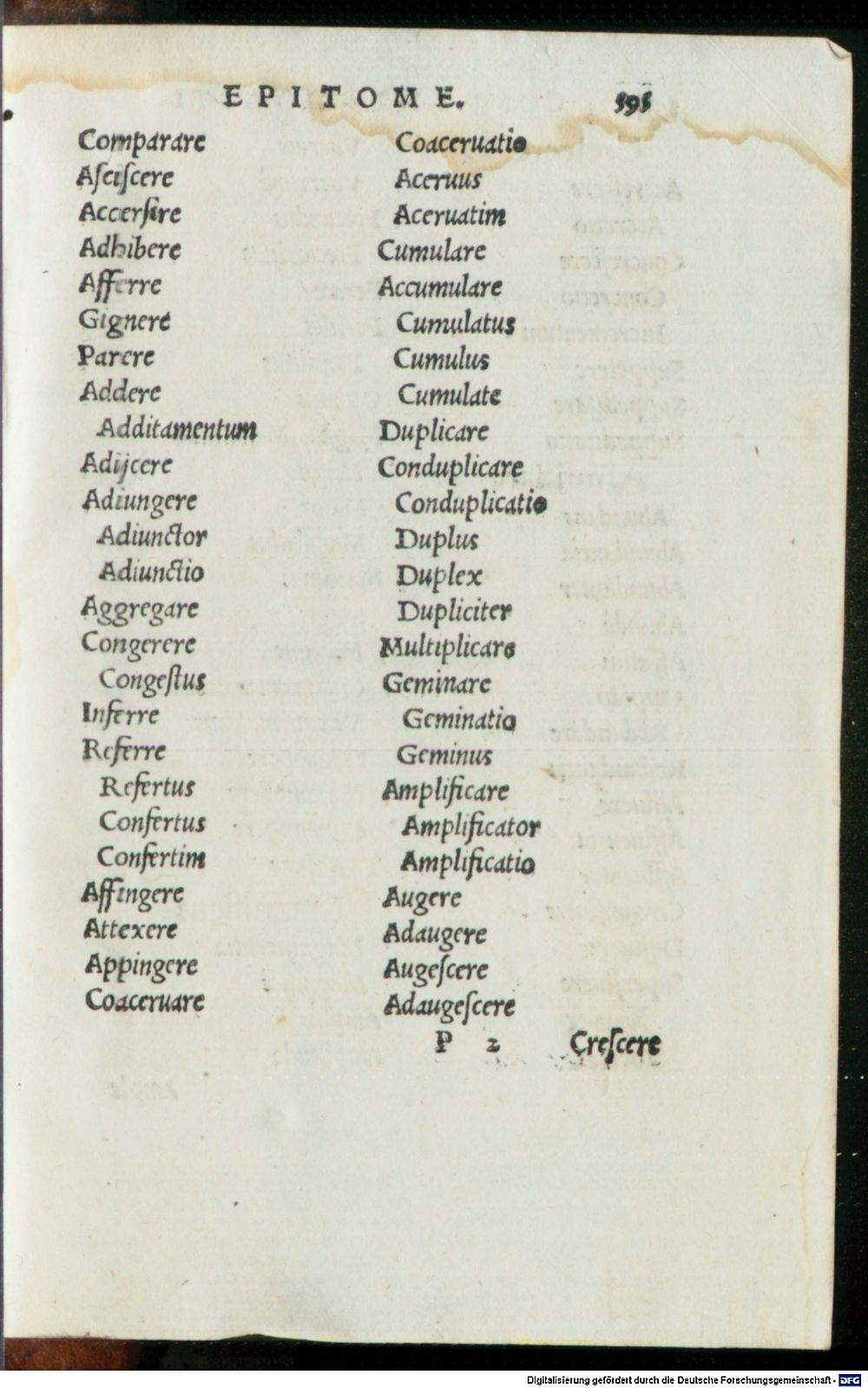 Image