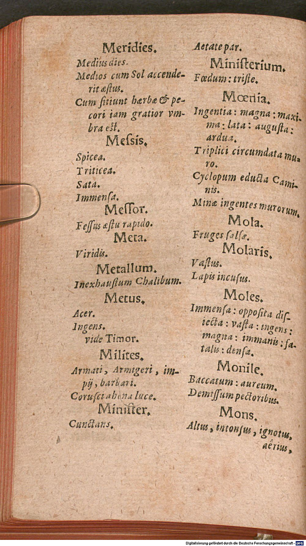 Image