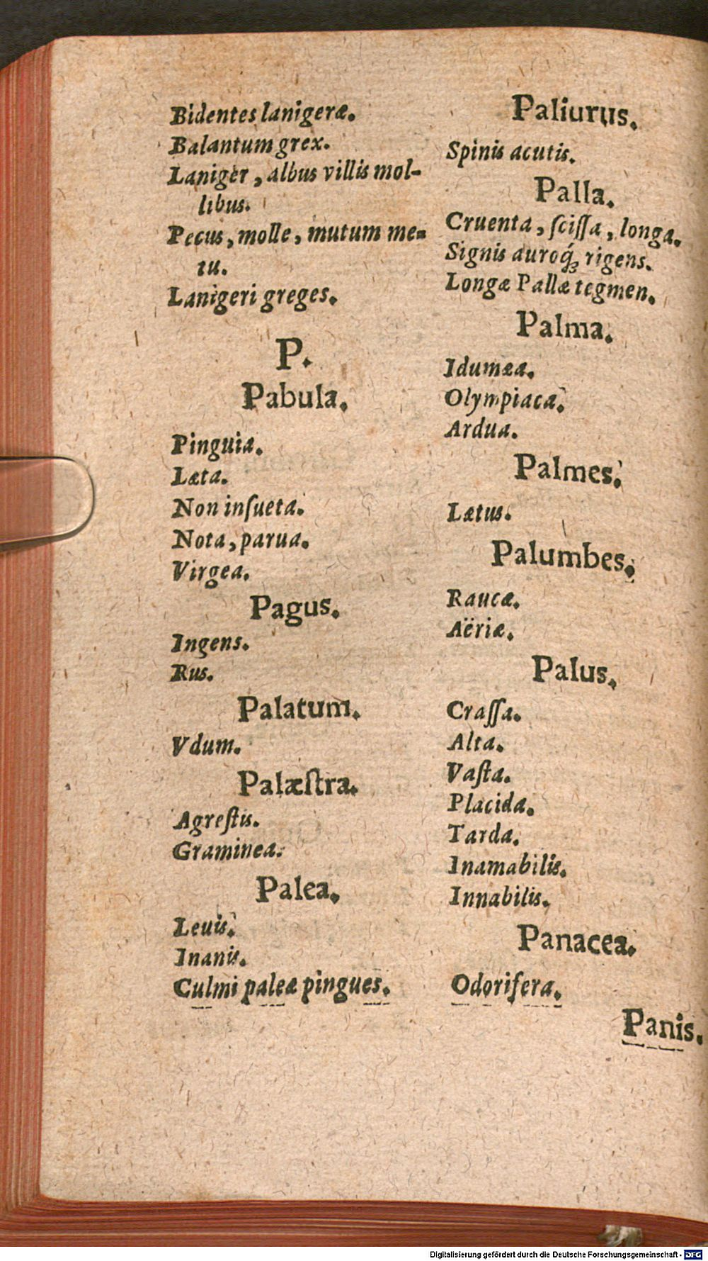 Image