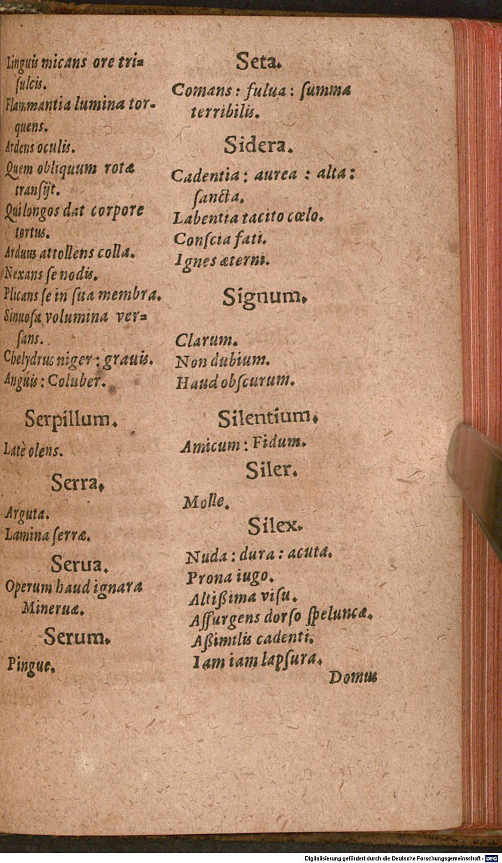 Image