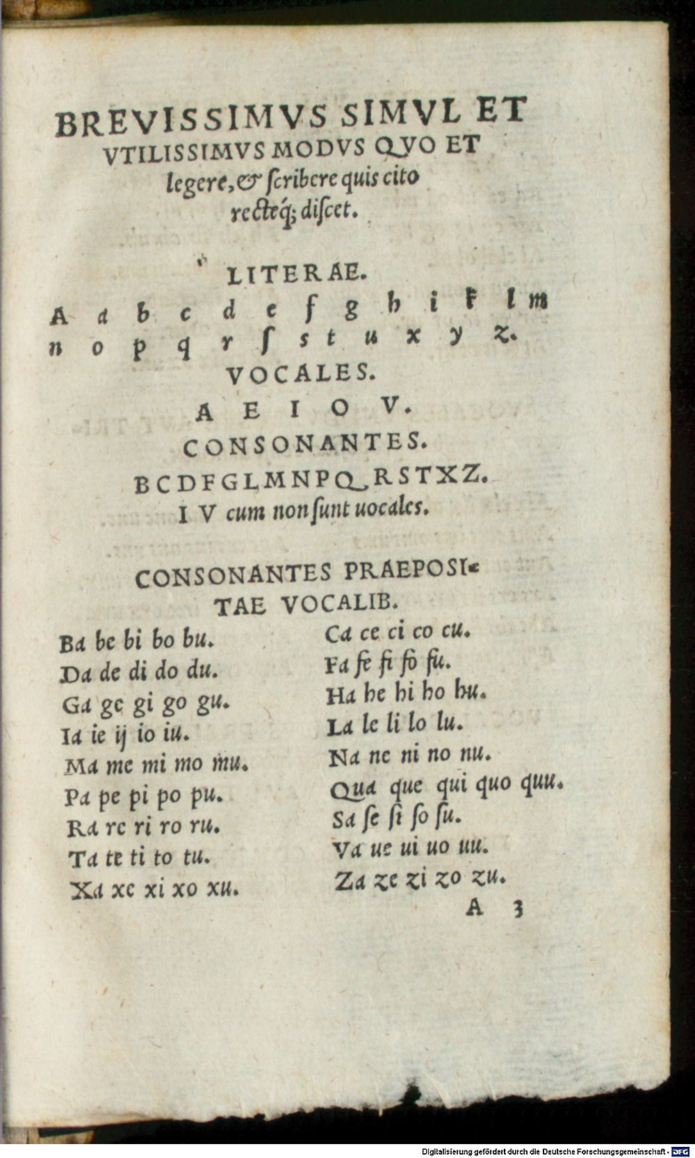Image