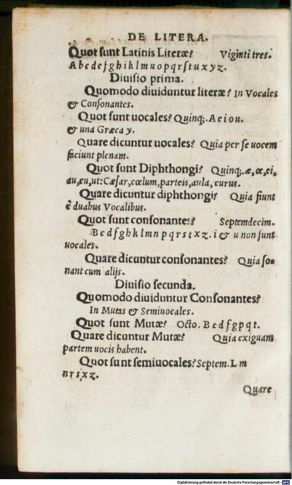 Image