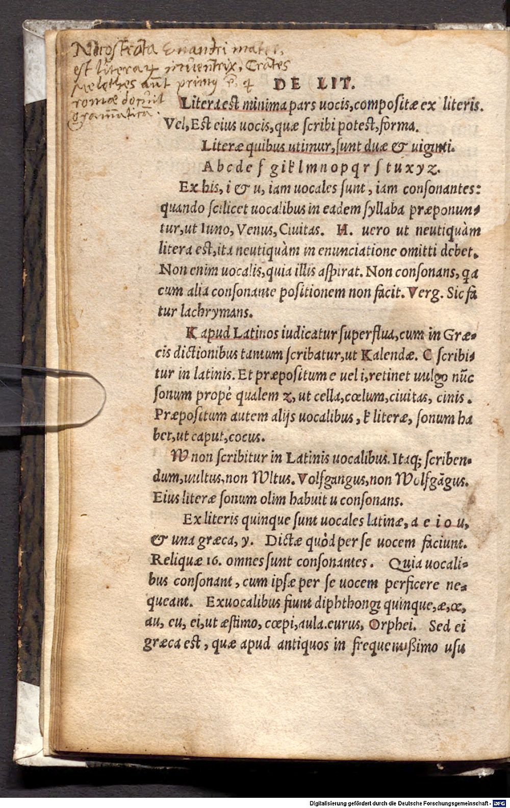 Image