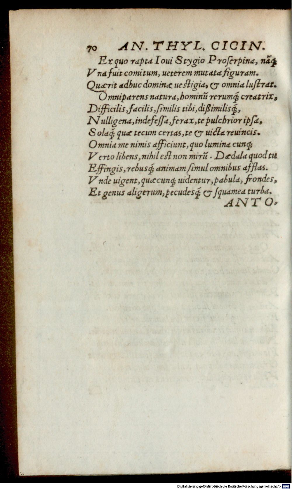 Image