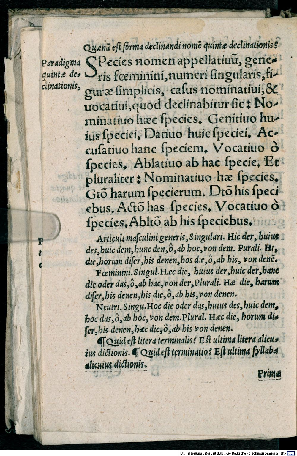 Image