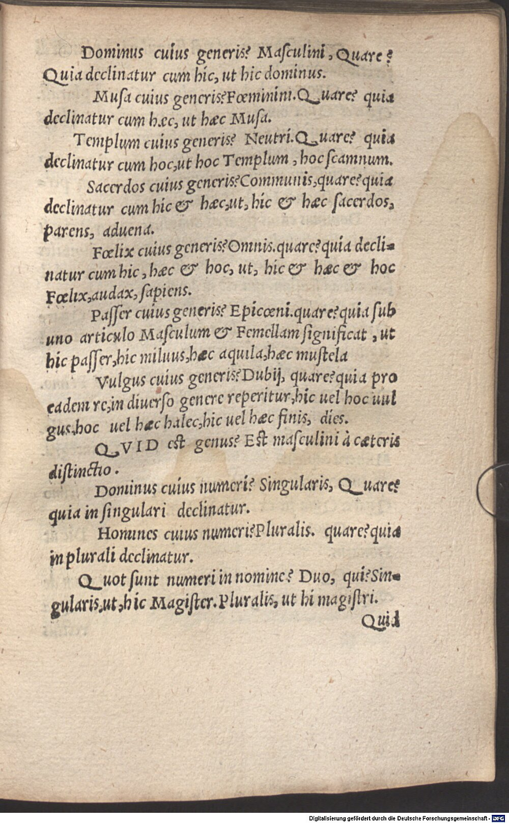 Image