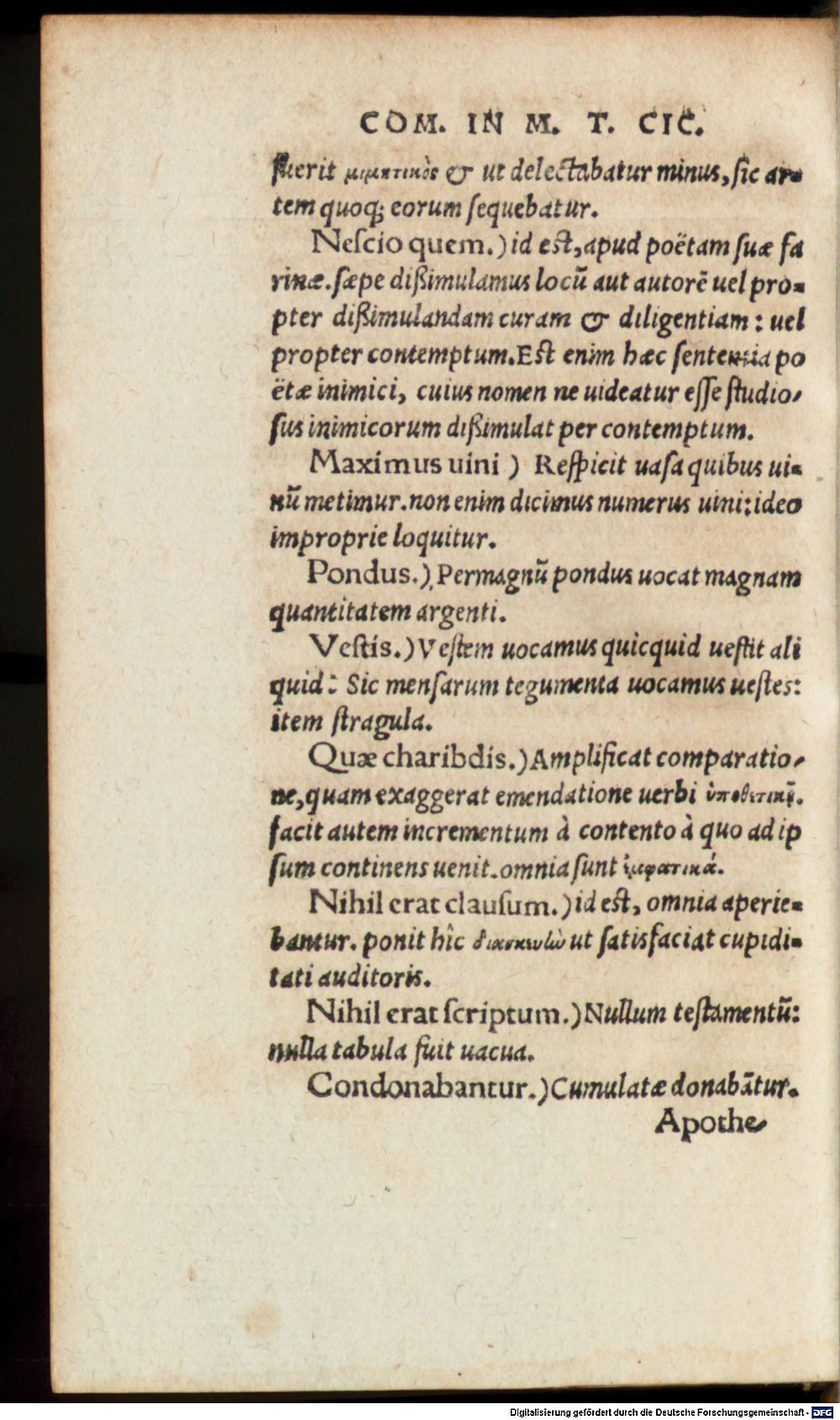 Image