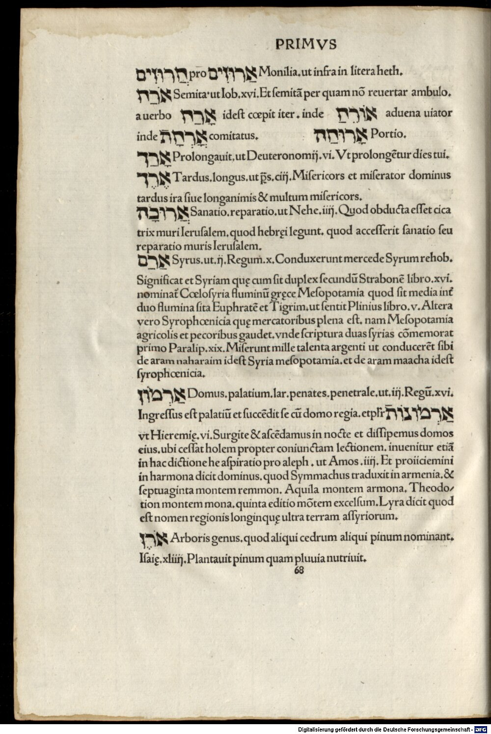 Image