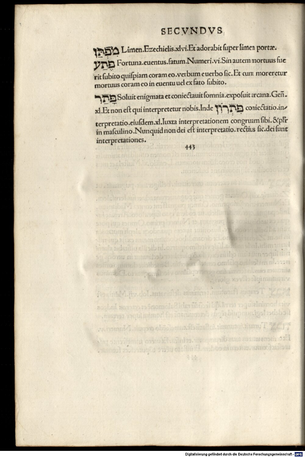 Image