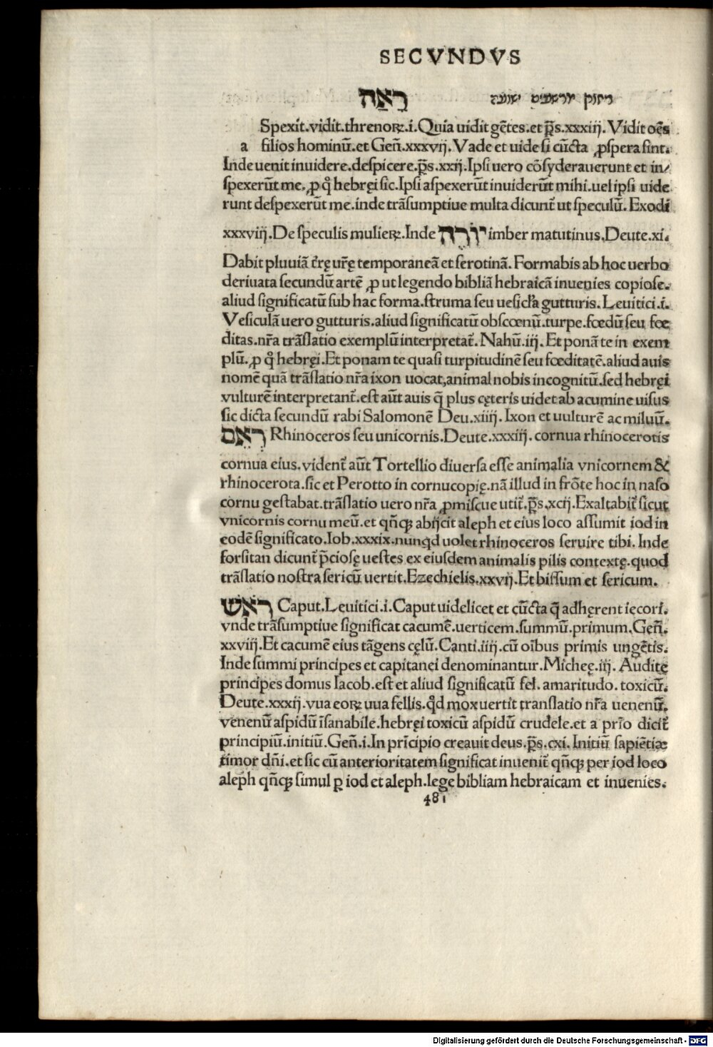 Image