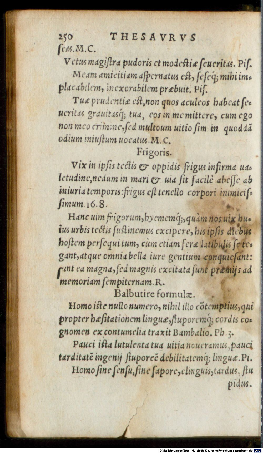 Image