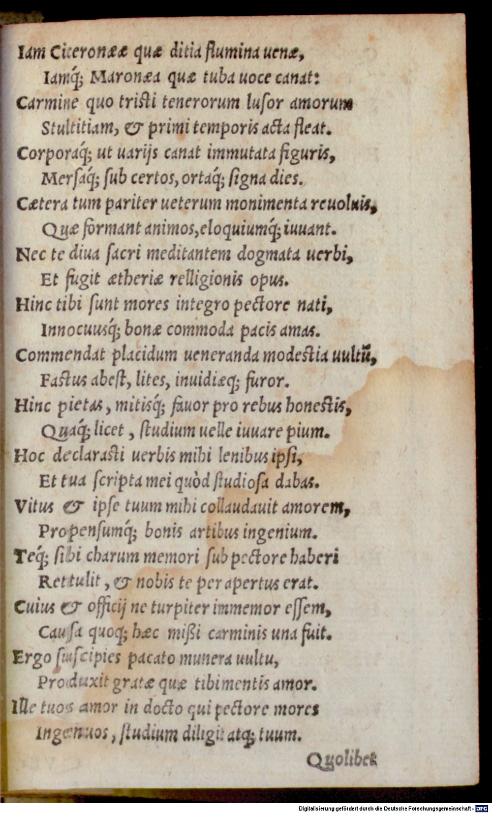Image