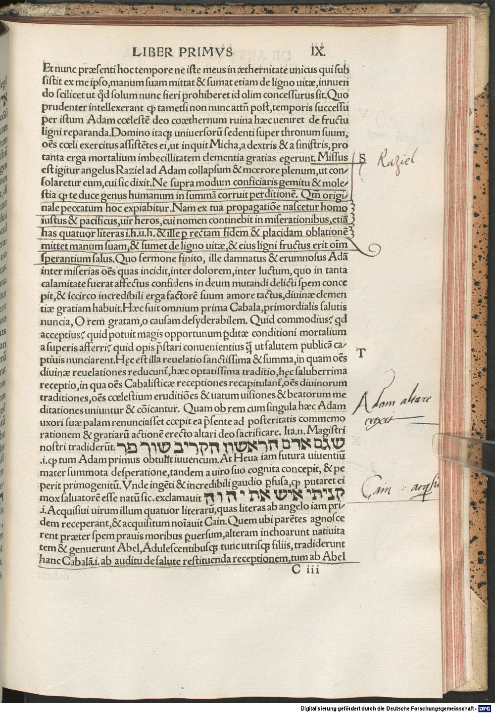 Image
