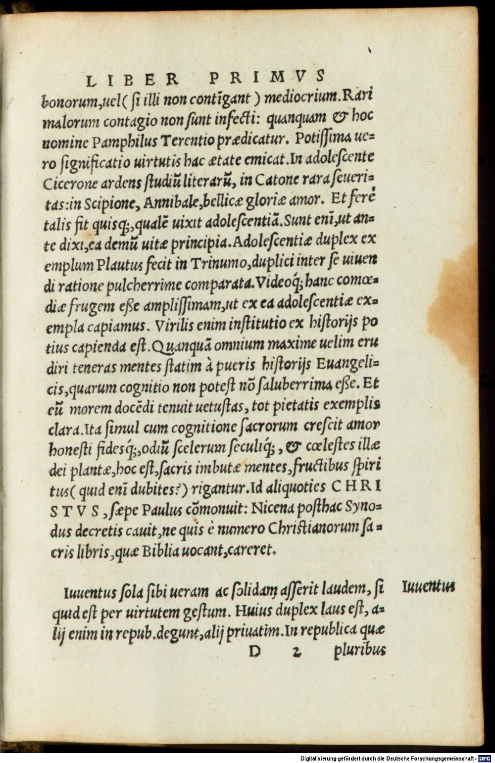 Image