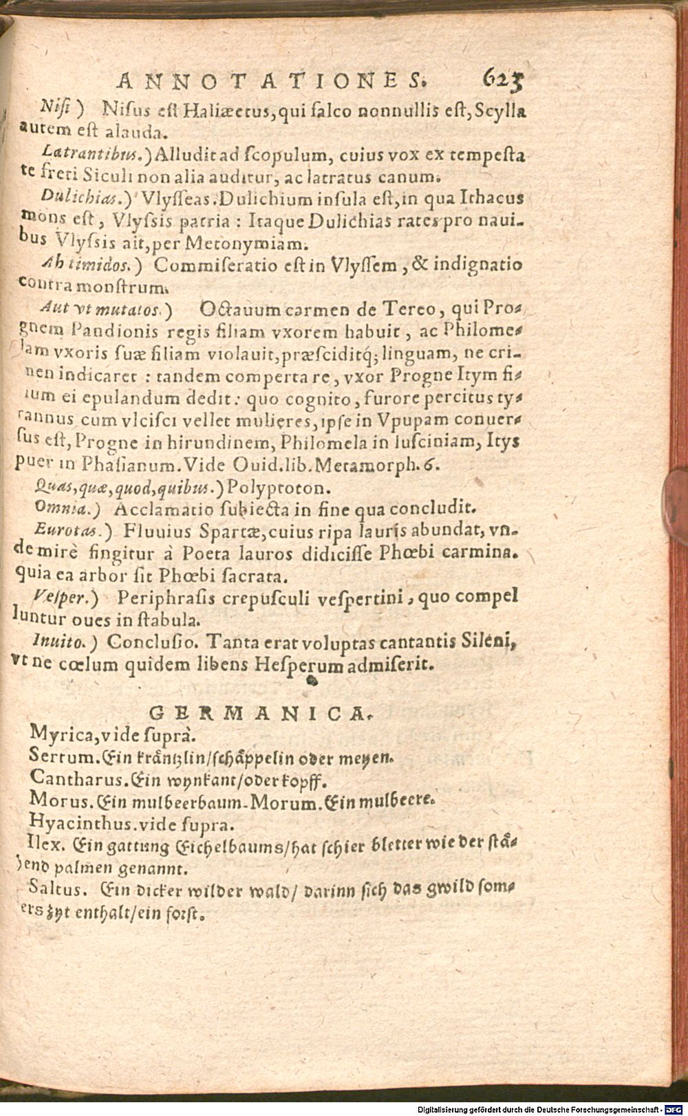 Image