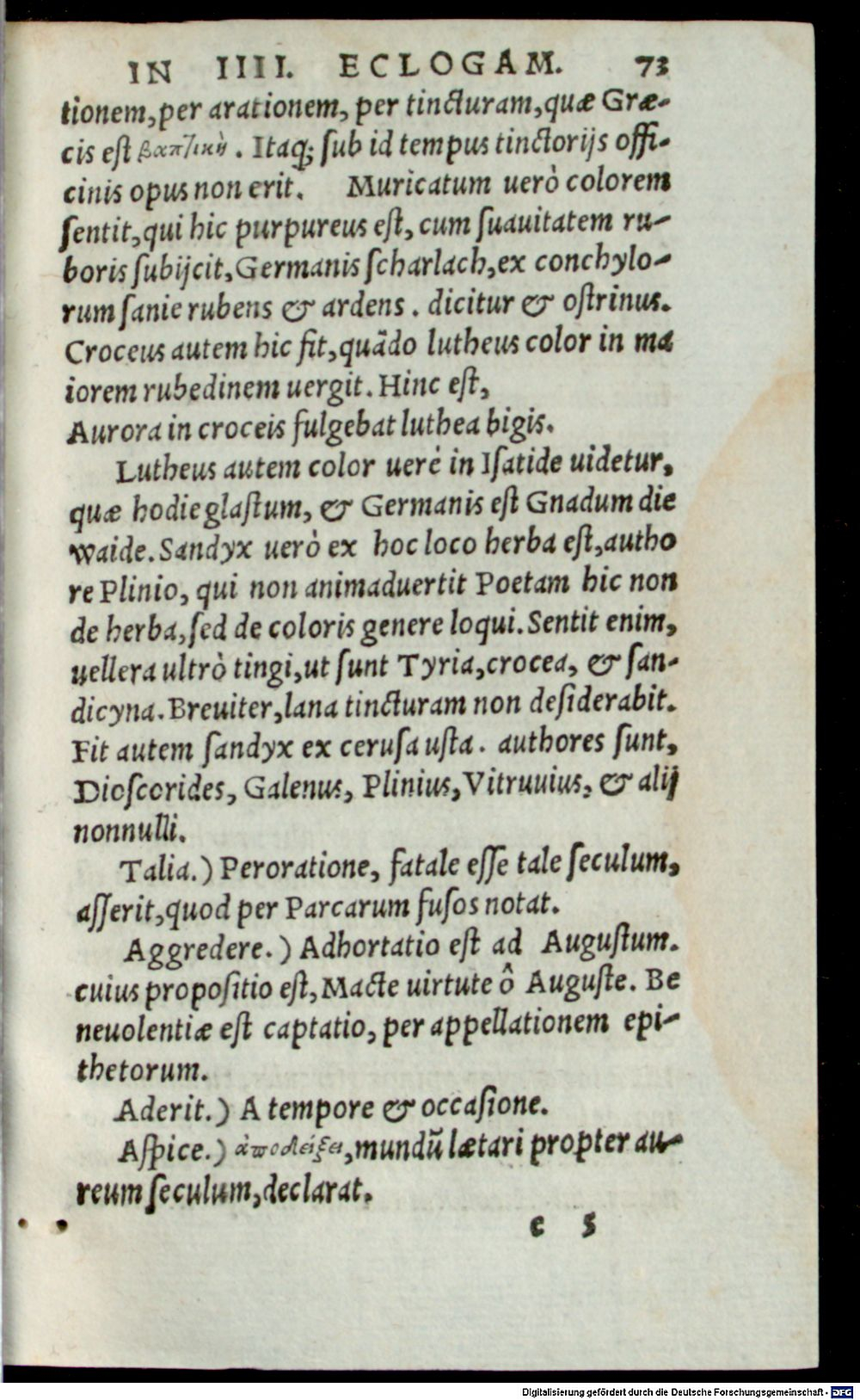 Image