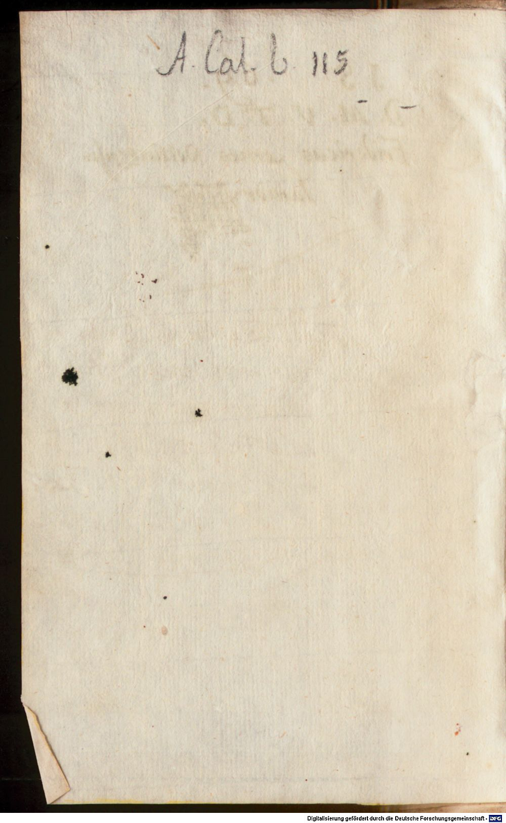 Image
