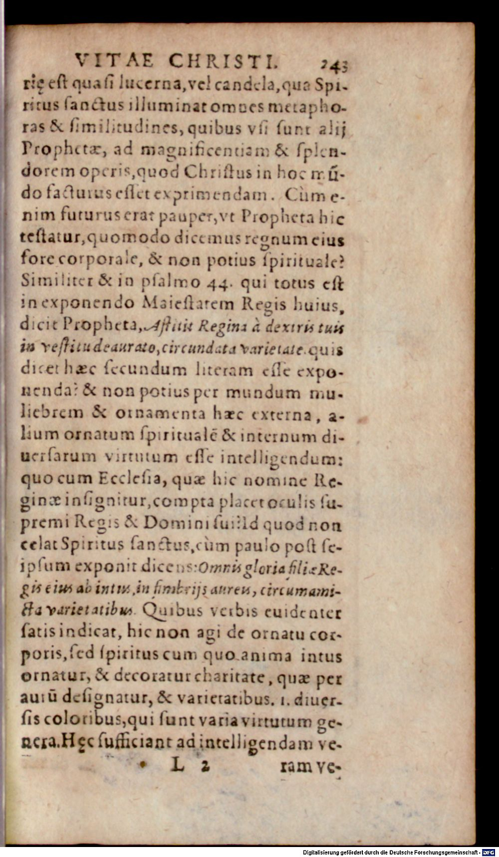 Image