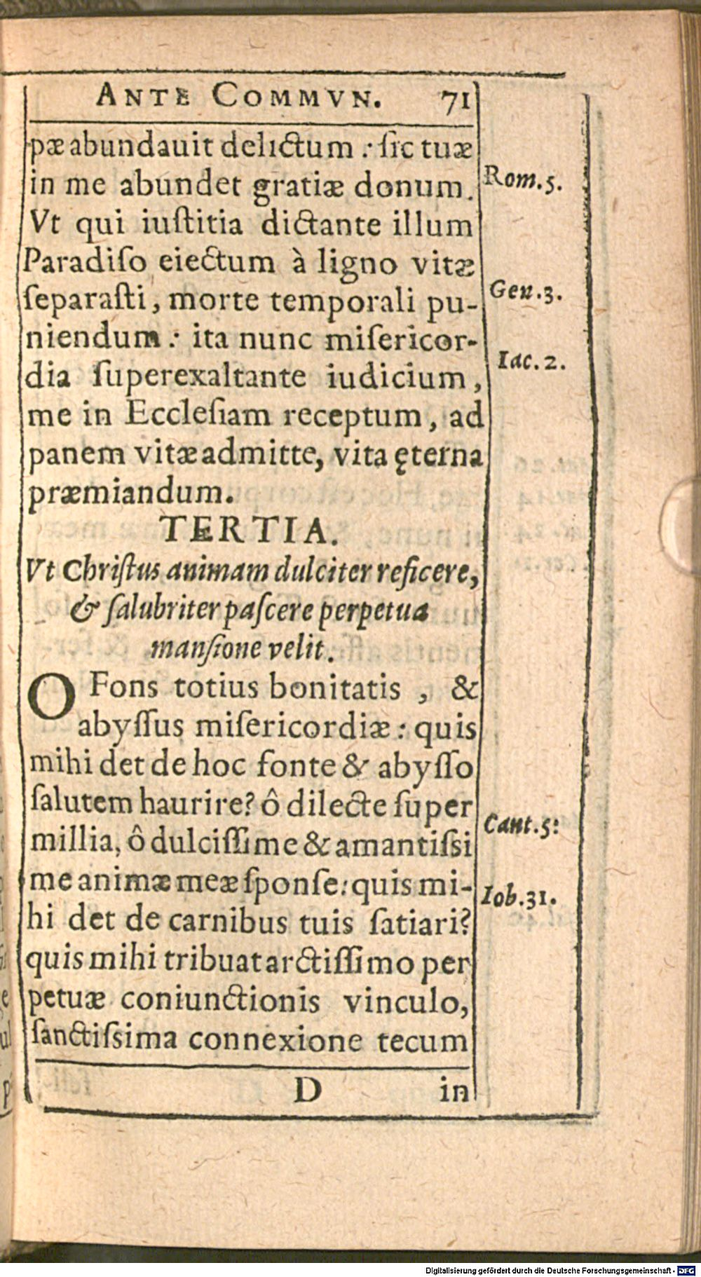 Image