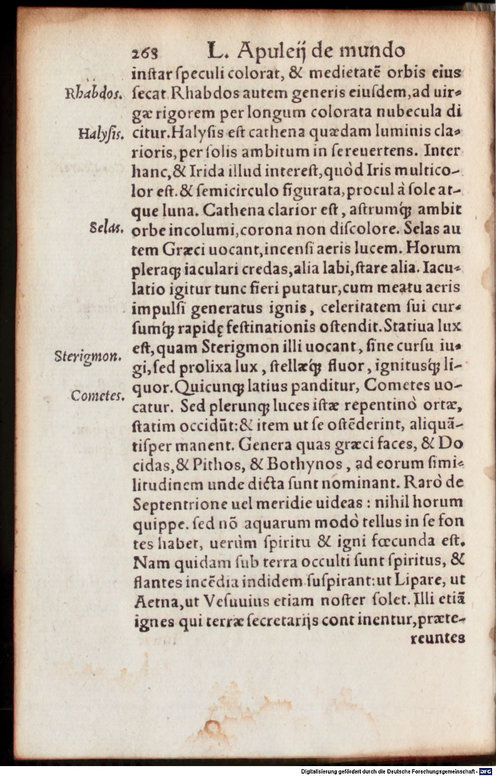 Image