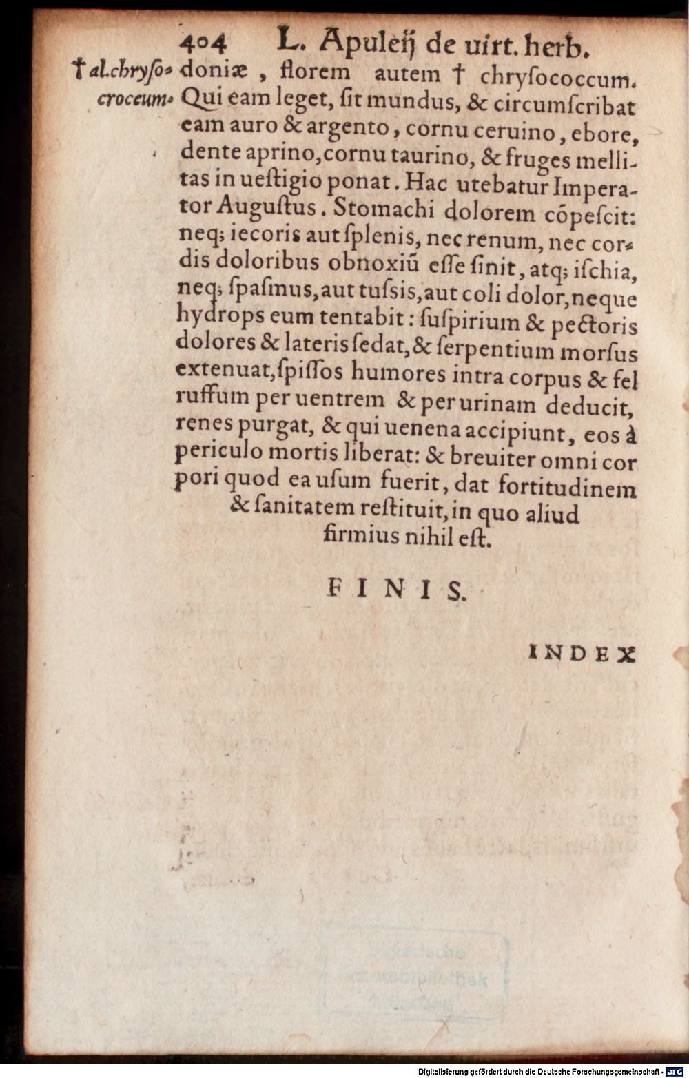 Image