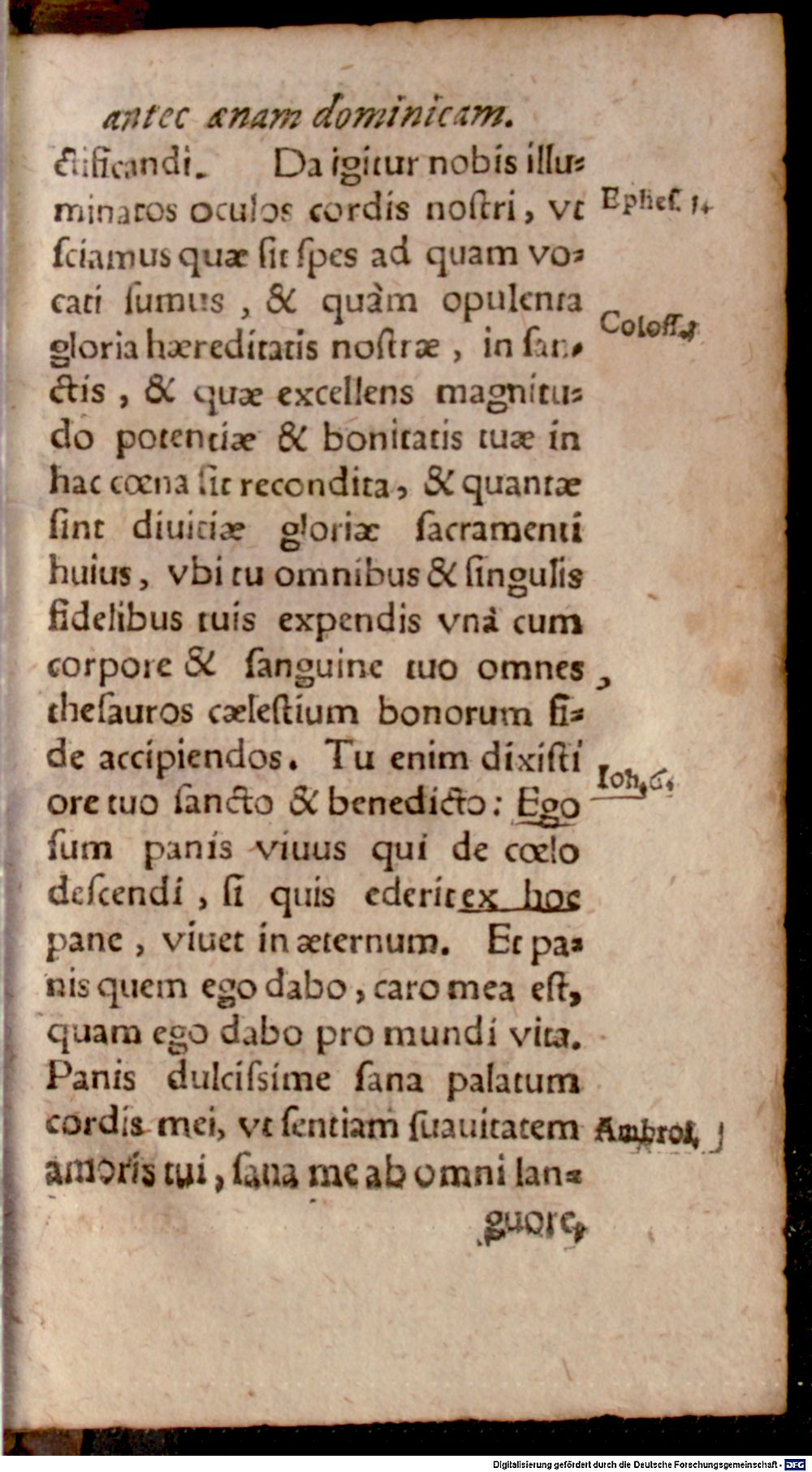Image