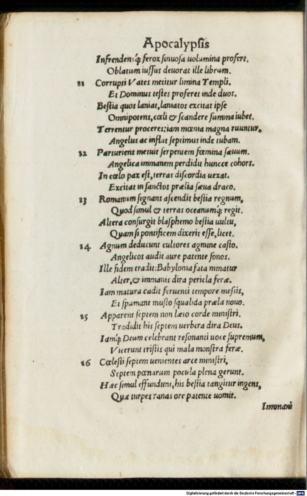 Image