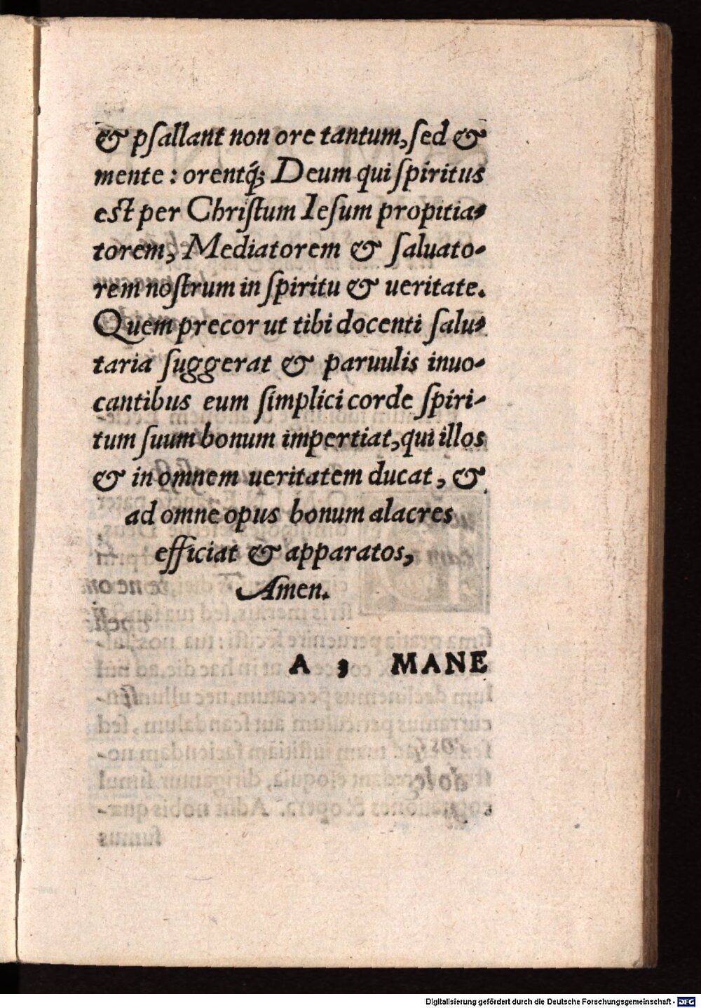 Image