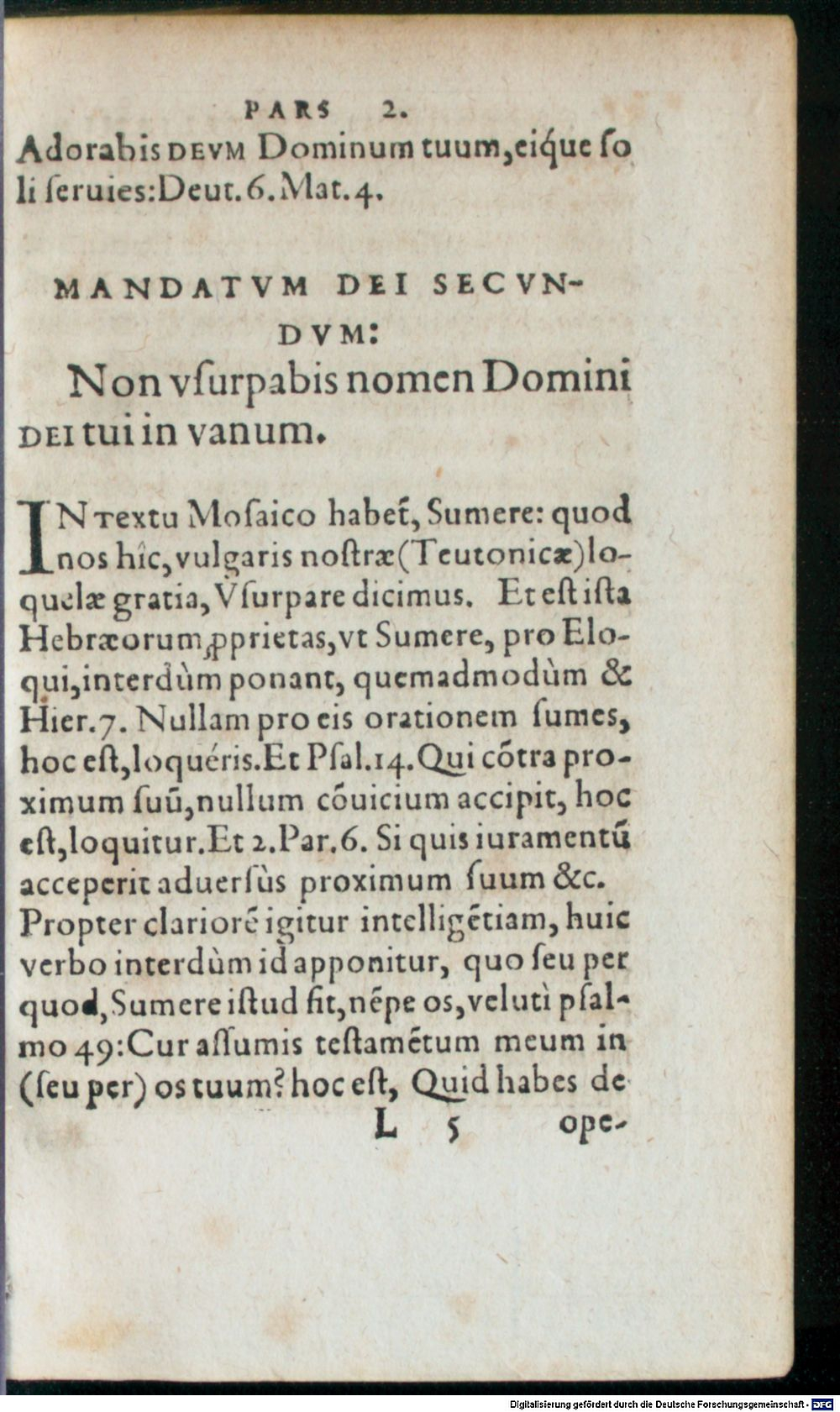 Image